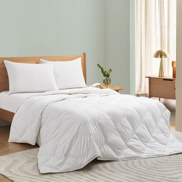 Wayfair Sleep™ Summer Down and Feather Blend Comforter & Reviews Wayfair